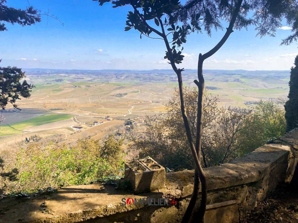 brunello-di-montalcino-2016-vista-padelletti-sommelierlife