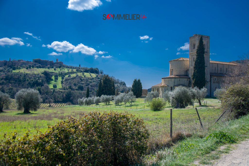 bunello-di-montalcini-vino-sant-antimo