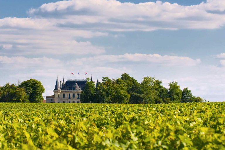 Per produrre il Bordeaux si potrà usare il vitigno cardine del Porto
