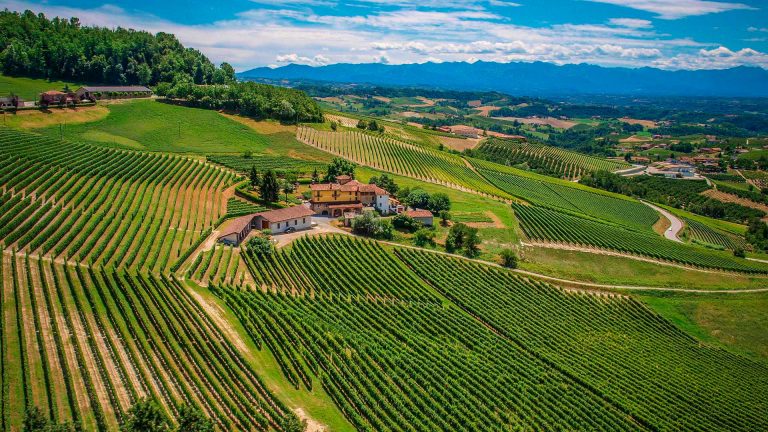 Rinviata l’anteprima di Barolo, Barbaresco e Roero