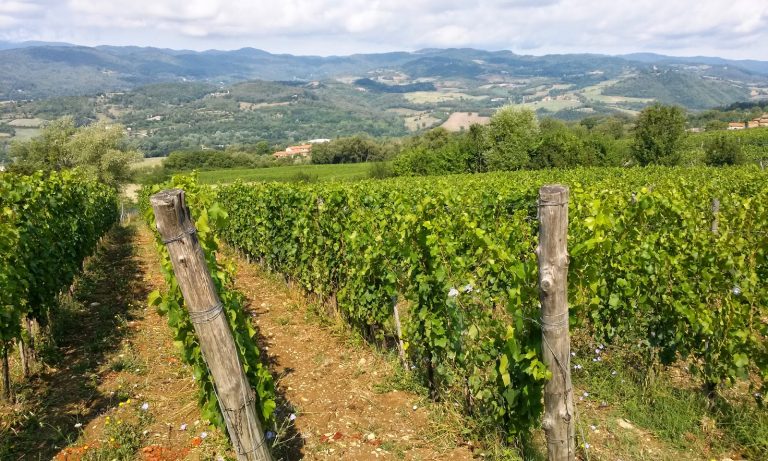 Podere della Civettaja: a fragment of Burgundy in  Tuscany