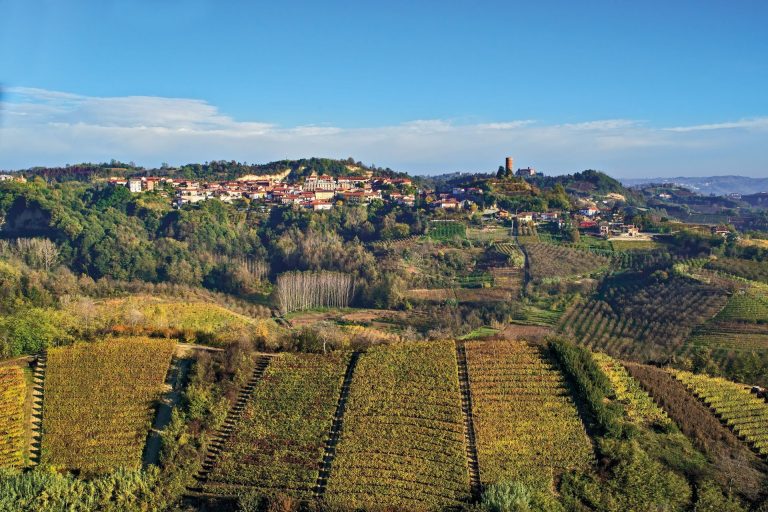 Il Nebbiolo aldilà del Barolo: dieci vini sorprendenti dal Roero