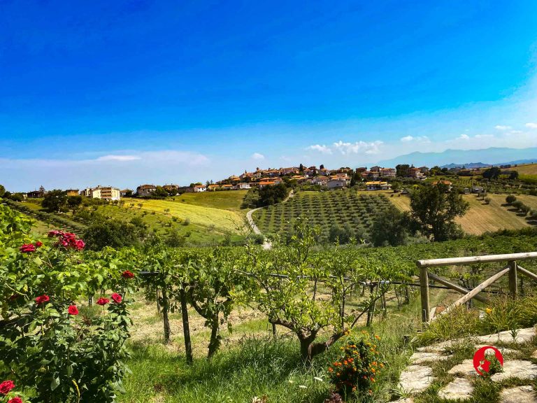 L’Abruzzo dal mare ai monti: dieci vini favolosi per esplorarlo in lungo e in largo