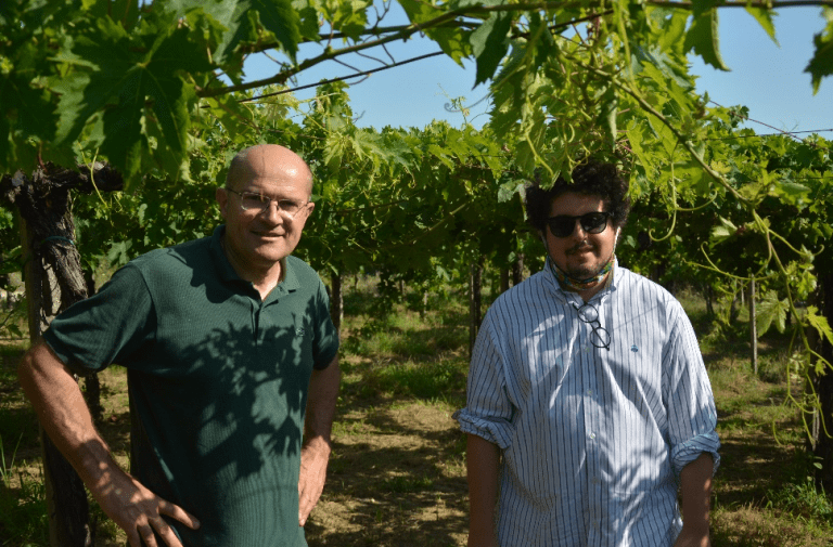 Torre dei Beati: i vini pop d’Abruzzo che hanno conquistato mezzo mondo