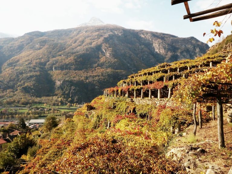 C’è un vignaiolo piemontese tra i giovani che cambieranno il mondo secondo 50Best