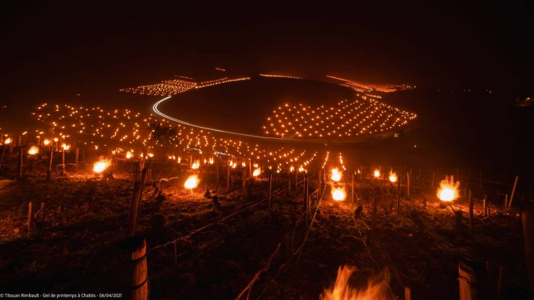 Gelate primaverili in Borgogna: le vigne “in fiamme” sono uno spettacolo