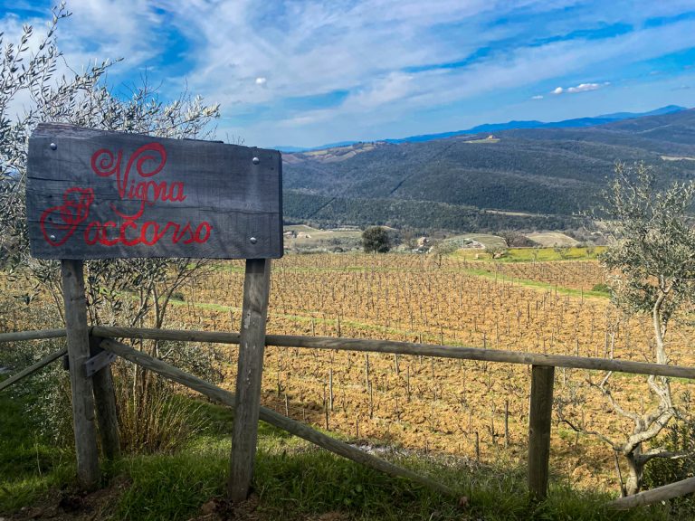 Tiezzi e la Vigna Soccorso: il Brunello di Montalcino tra passato e futuro