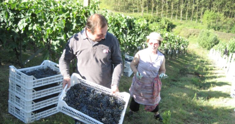 Addio a Luigi Spertino, il vignaiolo che ha dato nuova vita al Grignolino