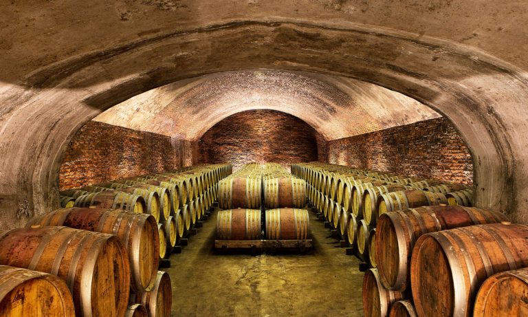 Dalla Barbera al Barolo: un top manager italiano ha appena rilevato una storica azienda piemontese