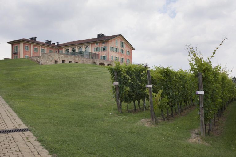 In vendita la cascina-laboratorio di uno dei più grandi enologi italiani