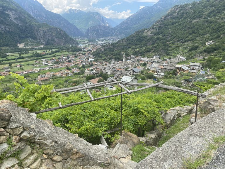 Carema: nove vini per scoprire il grande Nebbiolo dei terrazzamenti