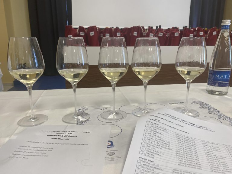 La Campania dalla Falanghina alla Coda di Volpe: dieci vini straordinari