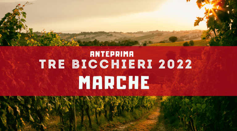 Tre Bicchieri Gambero Rosso 2022: i vini premiati delle Marche