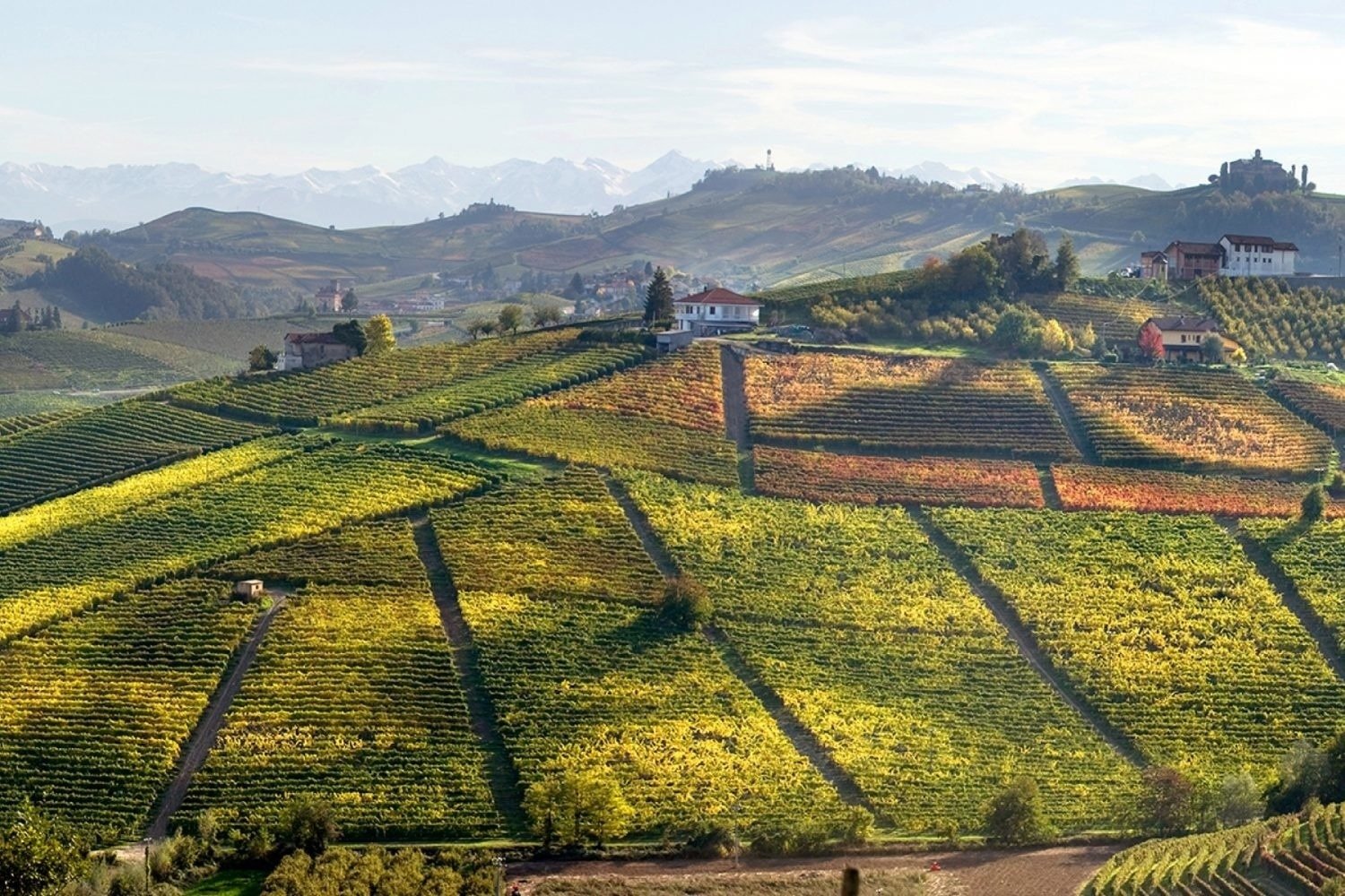 Tre Barolo perfetti da stappare in questa stagione