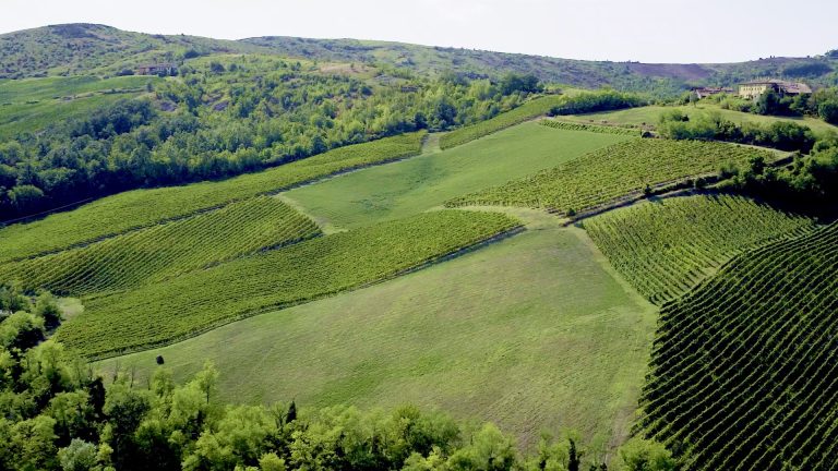 L’ evento per degustare i migliori Pinot Nero italiani