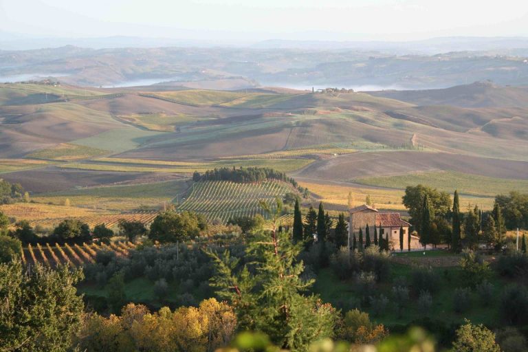 Brunello di Montalcino Riserva 2016: dieci vini imperdibili da scordare in cantina