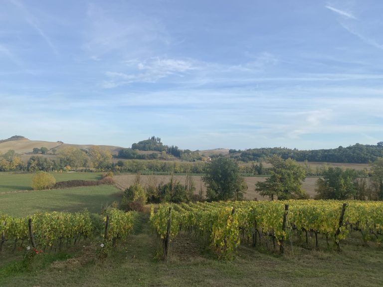 Le U.G.A. del Chianti Classico analizzate zona per zona
