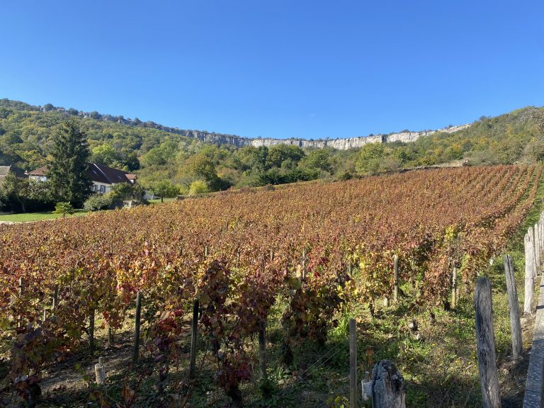 La Borgogna che non ti aspetti: quattro domaine della Cote de Beaune che fanno vini abbordabili
