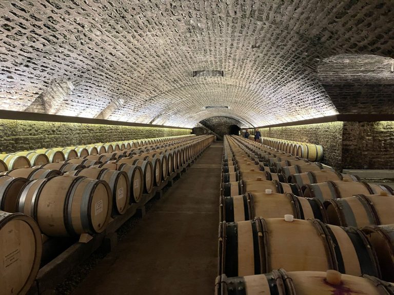 La Borgogna dei Grand Cru: visita ai Domaine Faiveley e Taupenot Merme