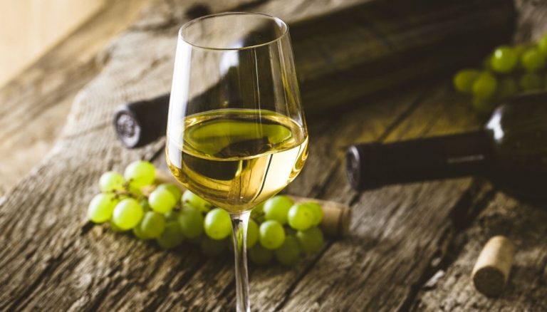 Inizia la vendemmia 2022 con venti giorni d’anticipo rispetto al 2021