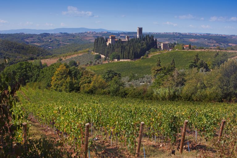 Ecco i migliori Chianti Classico dell’annata 2024