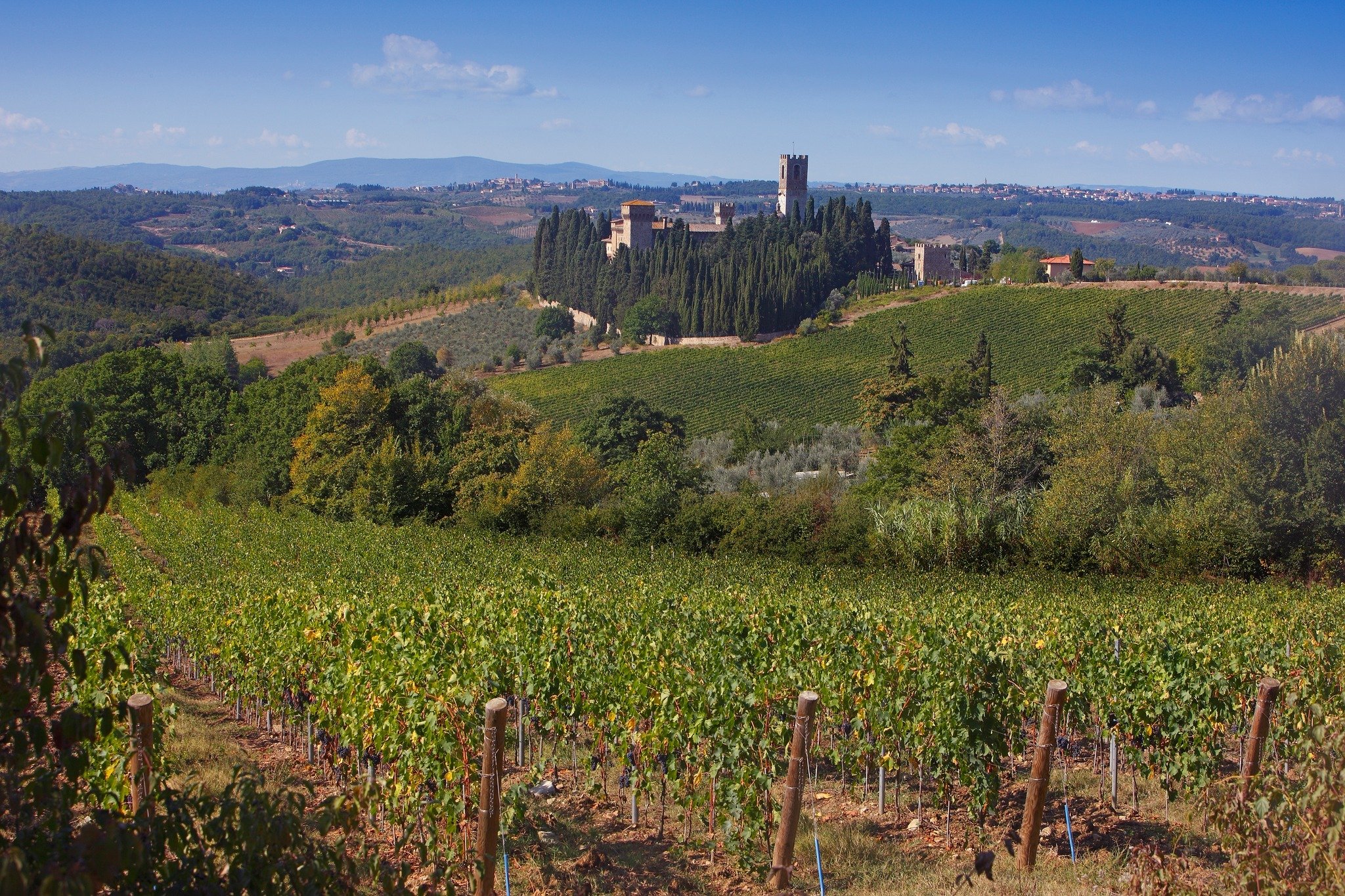 Ecco i migliori Chianti Classico dell’annata 2024