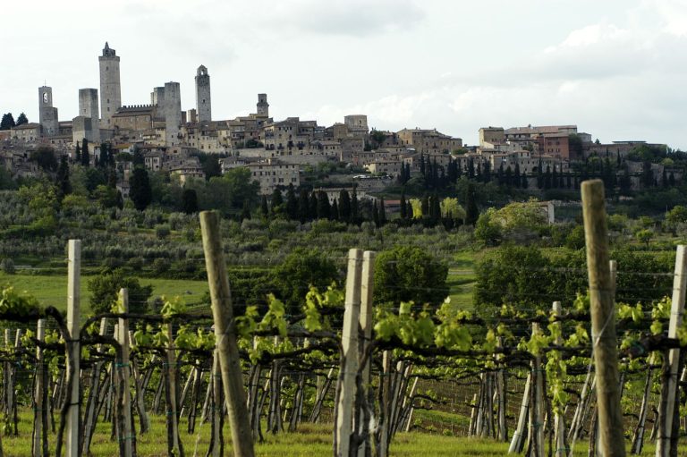 Vernaccia di San Gimignano: dieci vini per conoscere la regina ribelle della Toscana