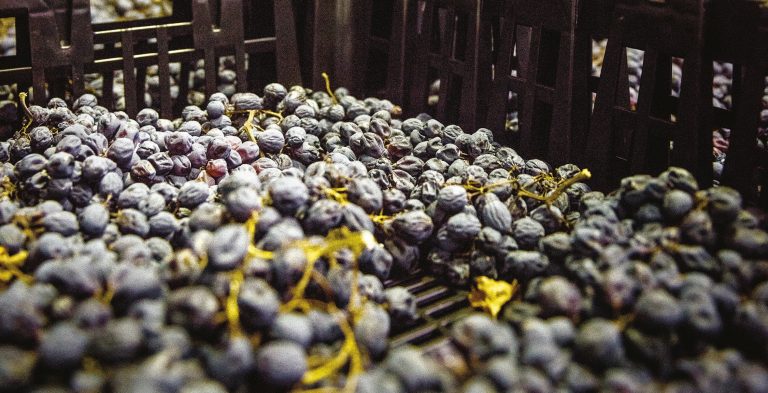 Un Amarone della Valpolicella che stapperei anche a 40 gradi