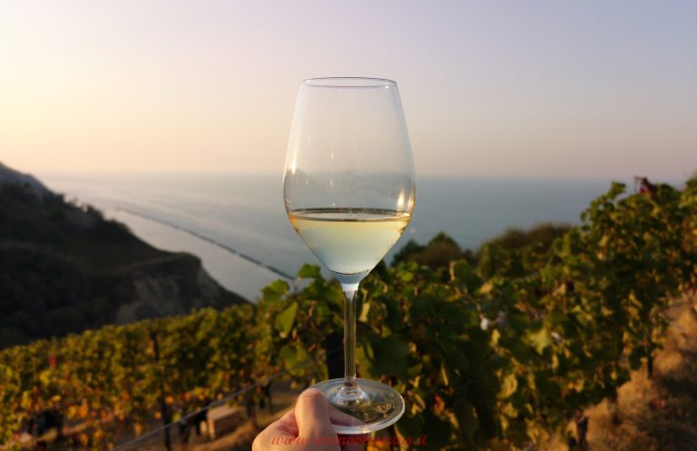I migliori vini bianchi e spumanti italiani del 2022 per Sommelier Life
