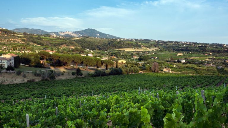 Save the date: Lazio Wine Experience