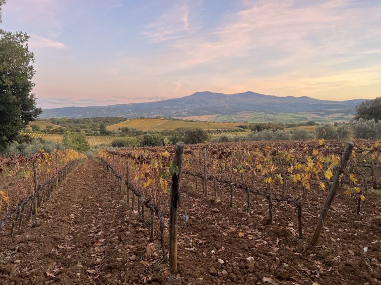 Tutti i Brunello di Montalcino 2020 con un punteggio superiore a 90 punti
