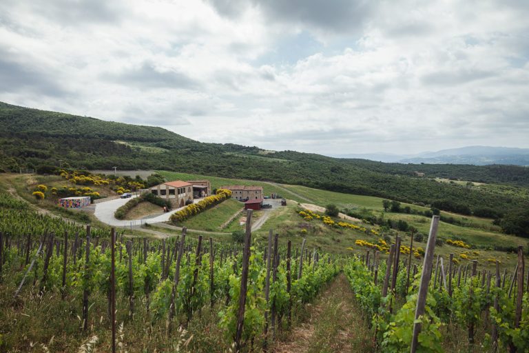 Una delle aziende più importanti della Costa Toscana è stata acquistata dalla branca agricola di Generali