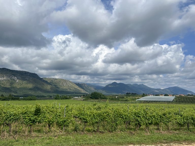 Il Lazio dai Castelli Romani all’ Agro Pontino: sette vini semi-sconosciuti da scoprire