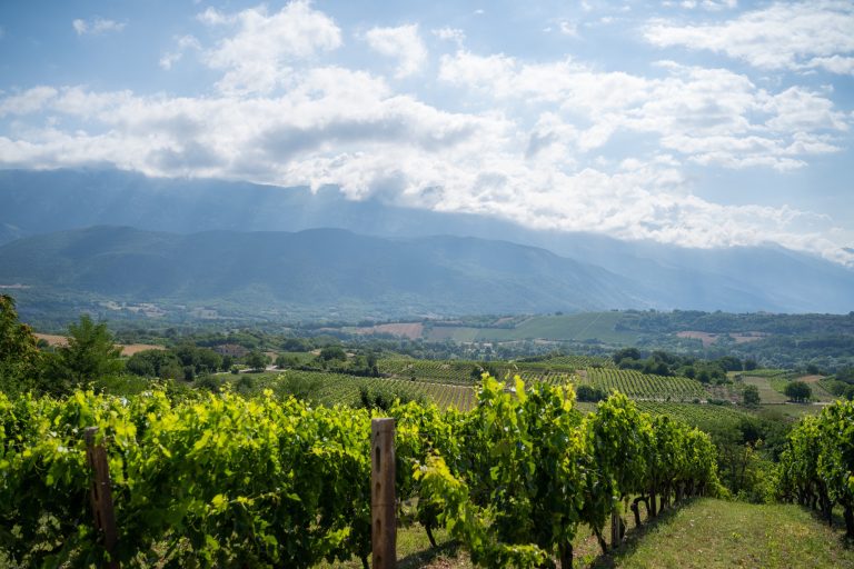 Tre vini abruzzesi di aziende grandi e piccolissime da assaggiare assolutamente