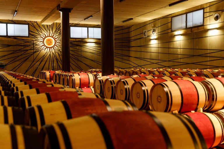 Tenuta Luce dal Brunello ai Supertuscans: tutti i vini del progetto dei Frescobaldi a Montalcino