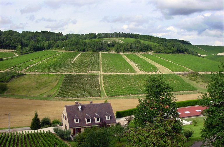 I Rothschild di Chateau Lafite hanno acquistato una delle aziende più importanti di Chablis