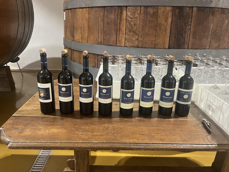 Come invecchia il Negroamaro del Salento: lo scopriamo con il Piromafo di Cantina Fiorentino