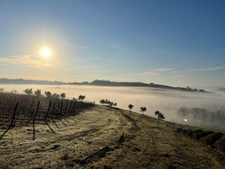 La Toscana dei vitigni minori: quattro vini semi-sconosciuti da scoprire