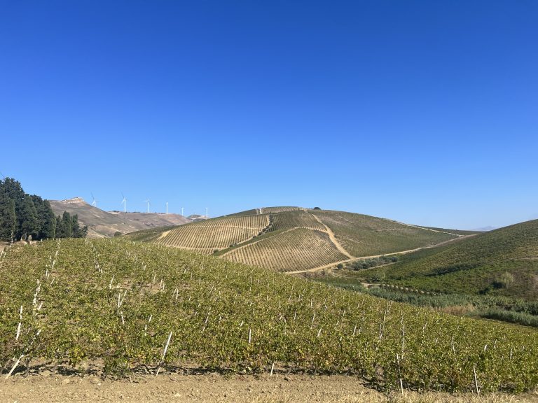 Da Giacomo Tachis alle fermentazioni spontanee: una visita da Dei Principi di Spadafora