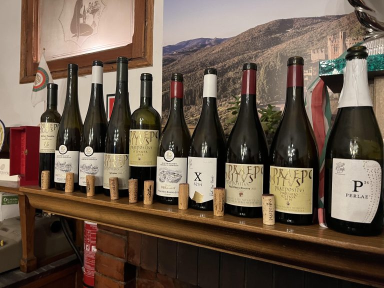 Come invecchia il Sylvaner dell’Alto Adige: lo scopriamo con Abbazia di Novacella