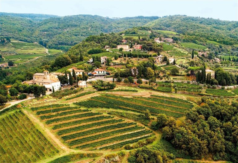 Chianti Classico Gran Selezione: i migliori vini delle ultime annate