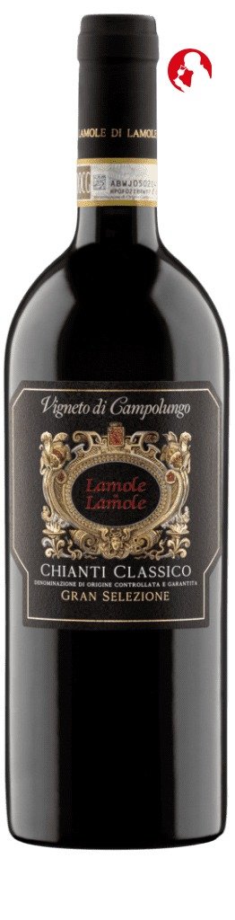 VIGNETO-DI-CAMPOLUNGO-sommelierlife.jpg-Chianti Classico