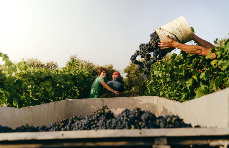 L’ Abruzzo dei piccoli vignaioli: tre vini artigianali da scoprire
