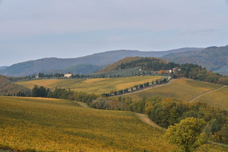 Dai Colli Fiorentini alla Rufina, i migliori Chianti DOCG da Chianti Lovers