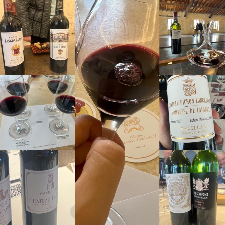 Abbiamo assaggiato tutti i vini di Bordeaux en primeur ed ecco quali sono i migliori