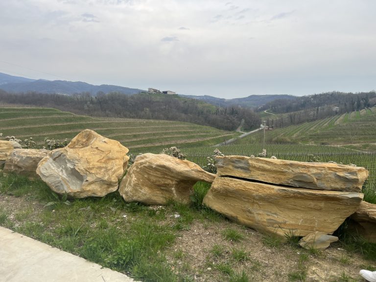 Ecco i migliori vini dei Colli Orientali del Friuli