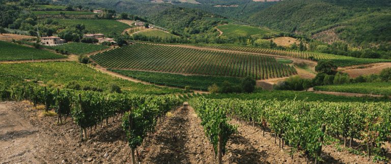 Ferragamo punta sul Brunello: acquistata un’azienda a Montalcino