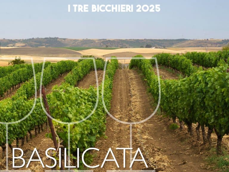 Tre Bicchieri Gambero Rosso 2025: i vini premiati della Basilicata