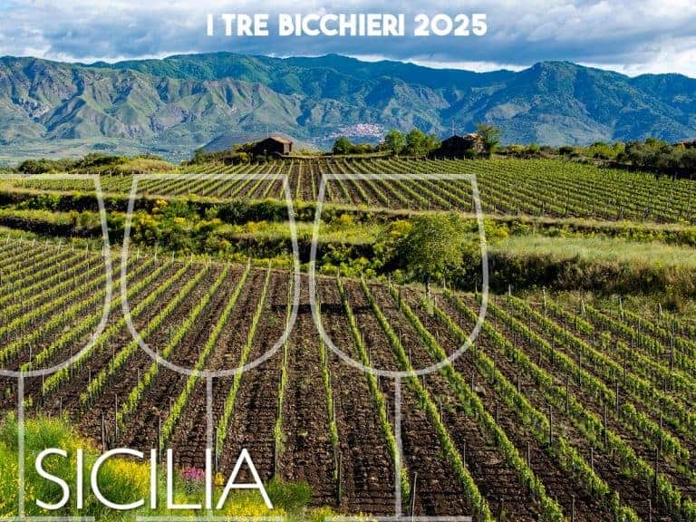 Tre Bicchieri 2025: i migliori vini della Sicilia secondo il Gambero Rosso