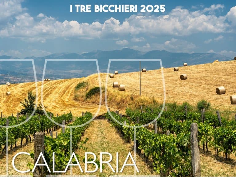 Tre Bicchieri Gambero Rosso 2025: i vini premiati della Calabria